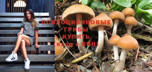бутик Новодвинск
