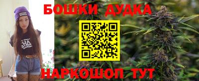 сатива Бузулук