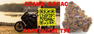 Альфа ПВП Кингисепп