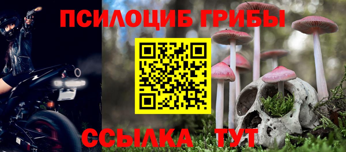 Галлюциногенные грибы Magic Shrooms Невинномысск