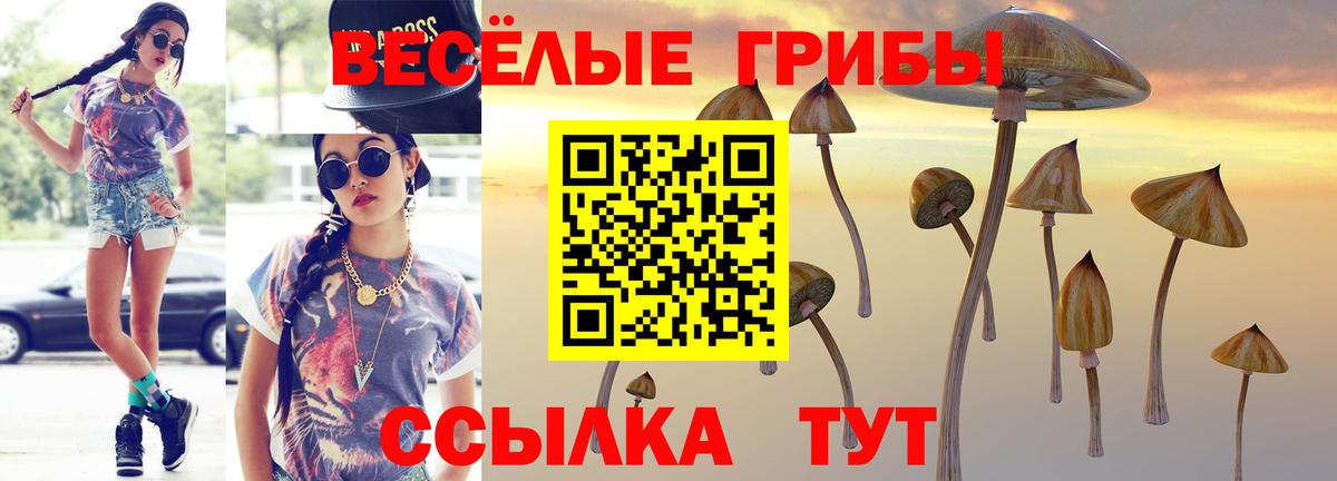 Галлюциногенные грибы Psilocybine cubensis  Невинномысск 