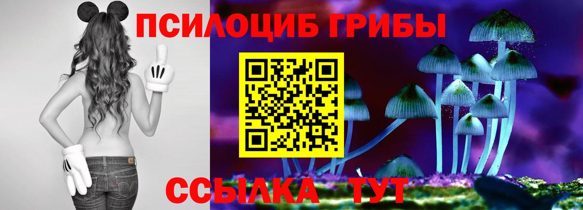 купить наркотик  Псилоцибиновые грибы мухоморы  Невинномысск  Вход с VPN  Галлюциногенные грибы Cubensis 