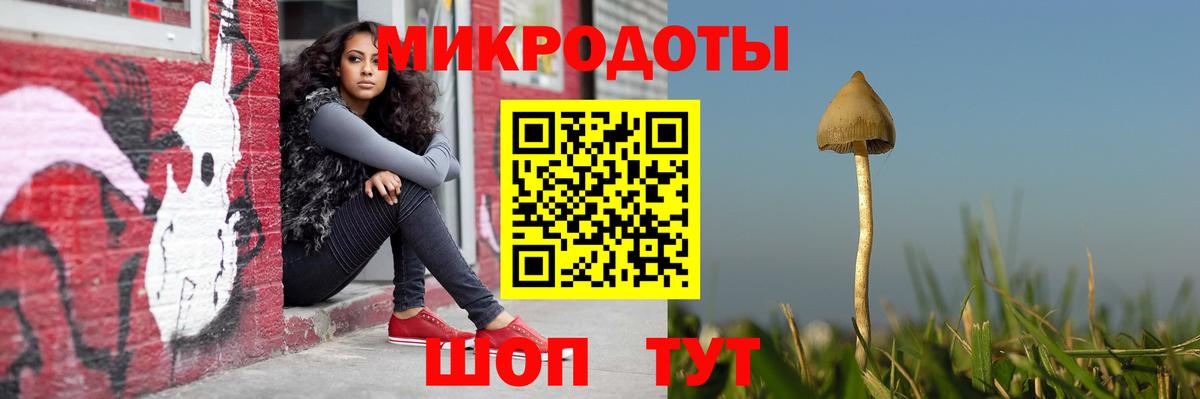 Галлюциногенные грибы мухоморы Невинномысск